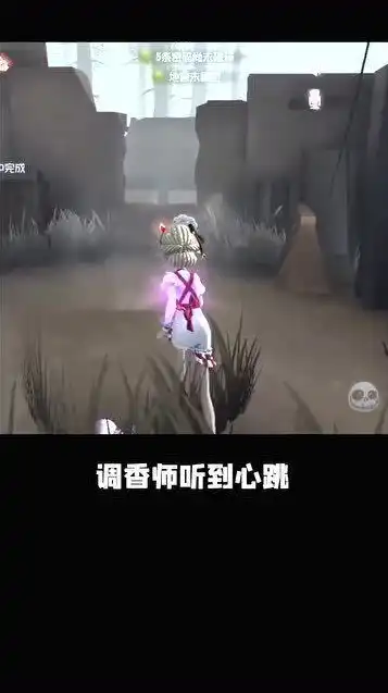 第五人格伪人队友系列有哪些，第五人格伪人队友系列，揭秘那些神秘而强大的幕后英雄