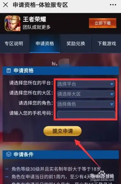 王者荣耀秒玩不用下载，王者荣耀秒玩攻略，无需下载，轻松体验畅快游戏！