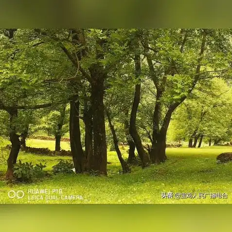 天涯明月刀太白背景音乐，天涯明月刀手游太白音乐，剑舞风华，月下侠影