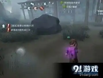 第五人格血条，揭秘第五人格血包的奥秘，从获取方式到使用技巧全解析