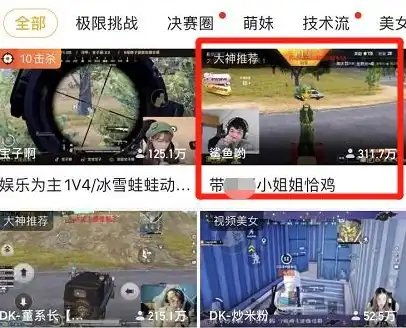 和平精英怎么看主播直播回放啊，轻松掌握和平精英主播直播回放技巧，畅享精彩游戏瞬间！