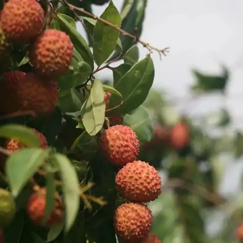 炉石传说回归预约入口在哪里看，炉石传说回归预约入口大揭秘！全方位解析预约流程及福利活动