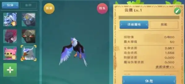 创造与魔法什么宠物可以飞升，创造与魔法，揭秘飞翼宠物，翱翔天际的神秘伙伴！