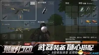 荒野行动游戏app是什么，荒野行动，开启沉浸式射击游戏新体验