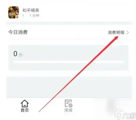 如何查看和平精英充值了多少钱，详解和平精英充值查询方法，轻松查看你的消费记录