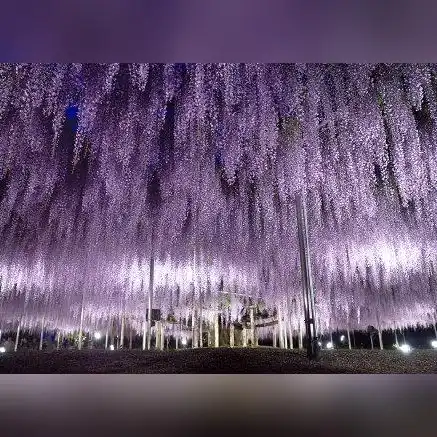 梦幻西游手游新区排队进不去，梦幻西游手游新区排队难题解析，告别漫长的等待，轻松畅游仙界！