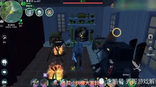 创造与魔法合成宠物的道具怎么弄啊视频，创造与魔法，揭秘合成宠物道具的制作方法及使用技巧！