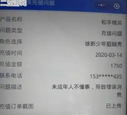 和平精英未成年充值了钱能退完吗安全吗，未成年在和平精英充值，钱能退完吗？安全指南及注意事项