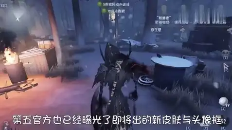 第五人格三姨太，第五人格，揭秘三姨太的神秘面纱——探寻背后的故事与真相