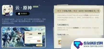 用云游戏玩原神能充钱吗，原神云游戏，畅享虚拟世界，充值享受更多乐趣？揭秘云玩原神的充值奥秘