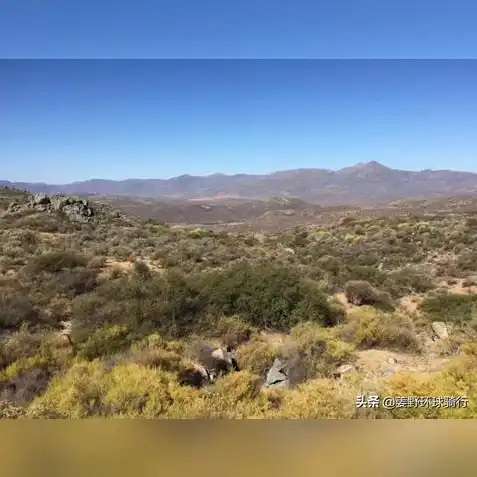 电脑版荒野行动按键说明，电脑版荒野行动，深度解析前进键的使用技巧与操作方法