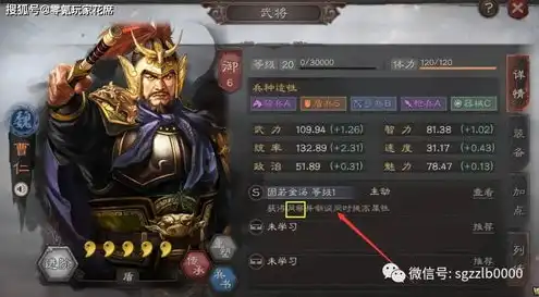 三国志战略版玩腾讯版还是官方版好，三国志战略版，腾讯版与官方版全面对比，选择哪个版本更胜一筹？