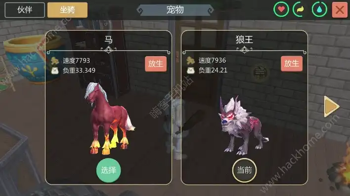 创造与魔法小马坐骑捕捉道具在哪，探索创造与魔法，揭秘小马坐骑捕捉道具的神秘之地