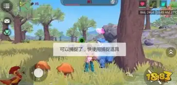 创造与魔法40级可以驯服什么宠物呢，揭秘创造与魔法40级玩家驯服宠物的秘密世界