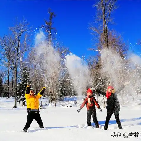 梦幻西游手游怎么用手机扫码登录，梦幻西游手游扫码登录攻略，轻松便捷的登录方式详解