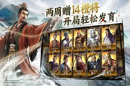 三国志九游版有什么不一样的吗，三国志九游版，全面升级，全新体验，带你领略不一样的三国世界