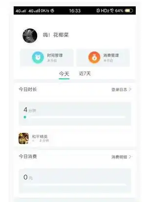 苹果和平精英充值记录怎么查询，苹果用户必看详解如何查询和平精英充值记录，步骤详尽，助你轻松追踪消费情况