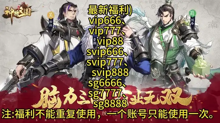 三国神将传兑换码SSR666，三国神将传兑换码SSR666，揭秘隐藏的武将传说，助你征战沙场！