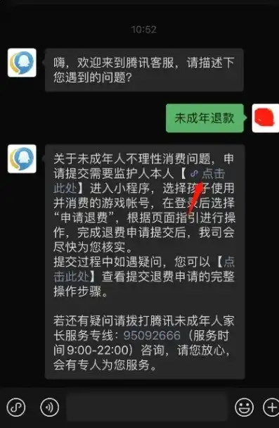 王者荣耀成年怎么退钱全款，王者荣耀成年后如何顺利退全款，全方位解析退费流程及注意事项