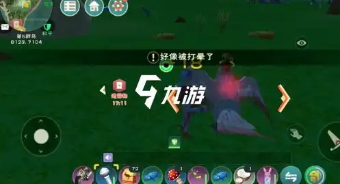 创造与魔法云斑鹦鸟位置必刷位置图，创造与魔法云斑鹦鸟必刷位置图揭秘，揭秘云斑鹦鸟隐藏刷点，轻松提升宠物收集效率！