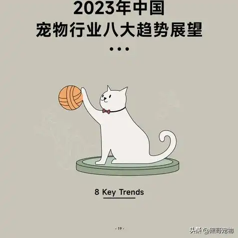 创造与魔法融合宠物大全2023年最新版本，2023年创造与魔法融合宠物大全，揭秘最新版本中的神秘伙伴