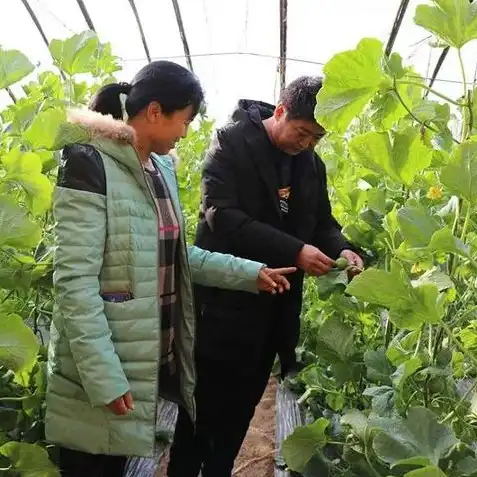 天刀新职业从龙石头，从龙之路，揭秘天涯明月刀新职业从龙石头的成长历程与技能解析