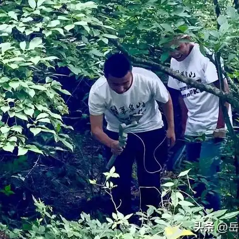 荒野行动手机配置要求最低，荒野行动手机配置要求揭秘，最低配置轻松畅玩，告别卡顿烦恼！