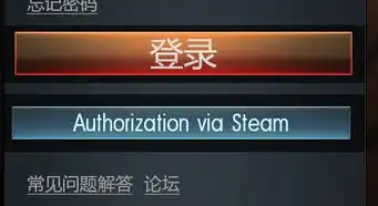 战争雷霆在steam上叫啥，战争雷霆Steam版本，国际服与国服的对比解析