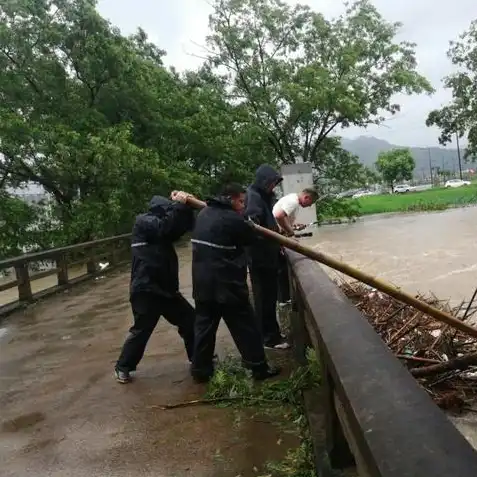 明日之后攻略小树枝怎么弄的，明日之后攻略，小树枝获取方法大揭秘，轻松获取小树枝！