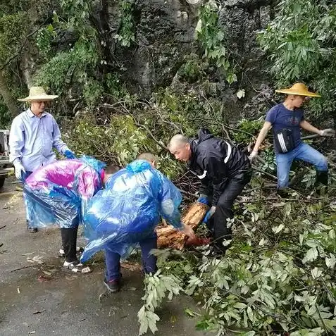 明日之后攻略小树枝怎么弄的，明日之后攻略，小树枝获取方法大揭秘，轻松获取小树枝！