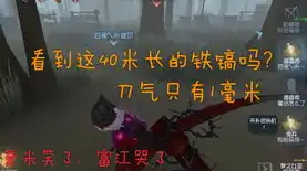 第五人格血腥凄美是什么，第五人格中的血凄之美，探寻暗黑童话下的凄美传说