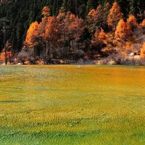 梦幻西游手游柔情蜜意开服时间表图片，梦幻西游手游柔情蜜意开服时间表大揭秘，全新版本即将来临，玩家们准备好了吗？