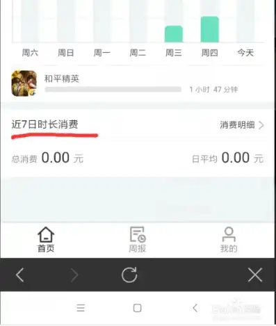 和平精英怎么看充值记录明细图片，和平精英充值记录明细查看攻略全方位解析，让你的消费透明化！