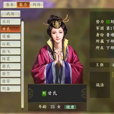 三国志14怎么玩新手入门武将，三国志14新手入门，武将篇，掌握策略解锁英雄时代