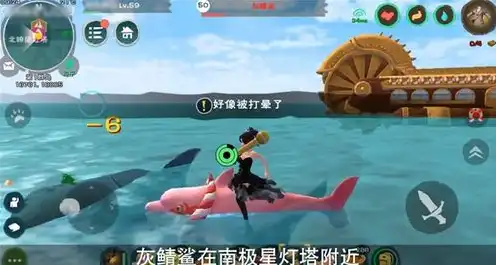 创造与魔法幼鲸鲨的准确位置在哪里 app，创造与魔法幼鲸鲨栖息地揭秘，探寻神秘海洋深处的神秘生物