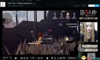 第五人格陌兮视频是什么版本出的，第五人格陌兮视频版本解析，揭秘陌兮版本演变之谜