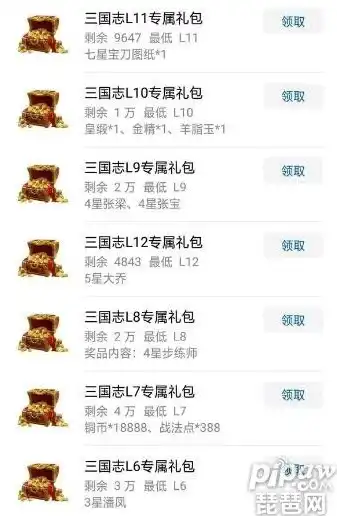 三国志战略版礼包兑换码在哪里输入ios，三国志战略版iOS平台礼包兑换码获取及使用攻略详解