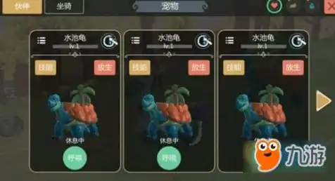 创造与魔法打水池龟攻略，创造与魔法，如何高效利用打水池龟攻略，轻松赚取金币！