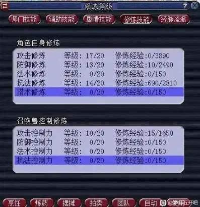 梦幻西游平民5开搬砖最佳配置攻略，梦幻西游平民5开搬砖最佳配置攻略，高效升级，轻松赚钱！