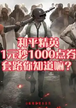 和平精英领1000点卷要多久，详解和平精英领1000点卷攻略，轻松赚取，畅玩无忧！