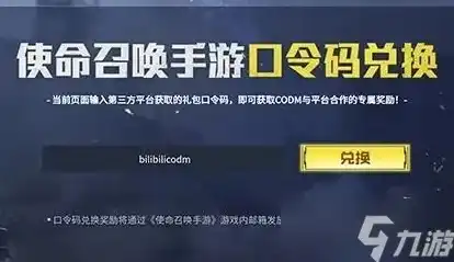 使命召唤手游点券兑换码2021，使命召唤手游点券兑换码2021大揭秘，如何轻松获得丰厚奖励！