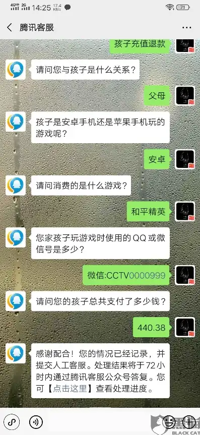 孩子玩和平精英充钱怎样追回，孩子误充和平精英，家长如何有效追回损失？全面攻略解析