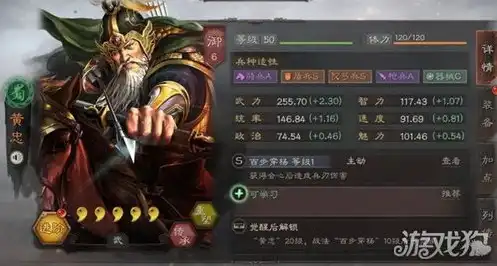 三国志战略版武将组合阵容搭配表图，三国志战略版顶级武将组合阵容攻略，打造无敌战队！