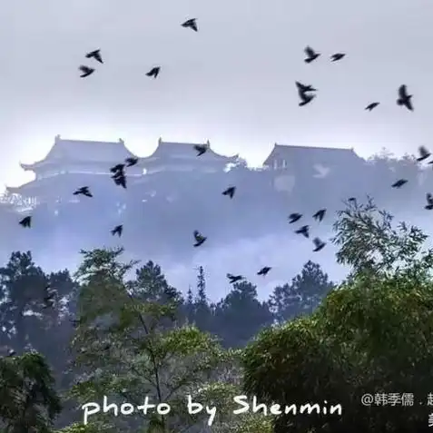 问道手游大梦千年兑换码是多少，问道手游大梦千年兑换码揭秘，独家兑换码助力玩家畅游奇幻世界！