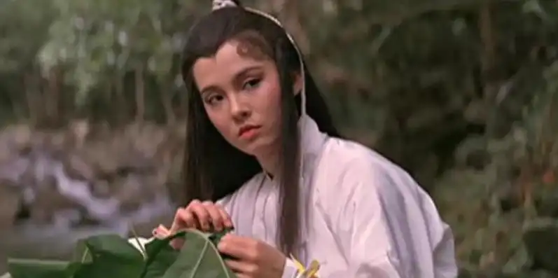 神雕侠侣1982版演员表，梦回1982，重温经典神雕侠侣，致敬那些年陪伴我们的英雄