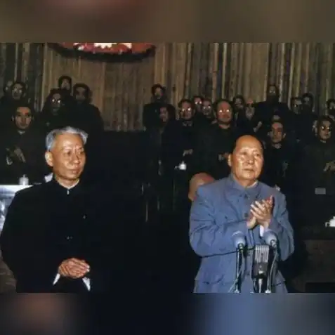 小五哥哥玩和平精英特种作战怎么玩，小五哥哥深度解析，玩转和平精英特种作战，技巧与攻略全揭秘！