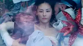 神雕侠侣小龙女被毁，神雕侠侣2014版，小龙女被毁，江湖风云再起