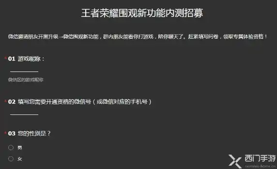 ios王者体验服官网问卷调查2021，深度解析王者荣耀iOS体验服问卷调查2021，探寻游戏优化与创新之路