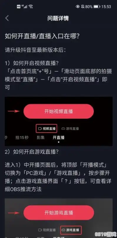 抖音怎么直播打王者荣耀还要下载什么软件，抖音直播打王者荣耀全攻略，必备软件及操作指南，轻松成为游戏主播！